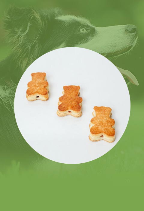樱桃子精品伊人久久大香线蕉，童心未泯的甜蜜记忆，永恒的樱桃小丸子世界